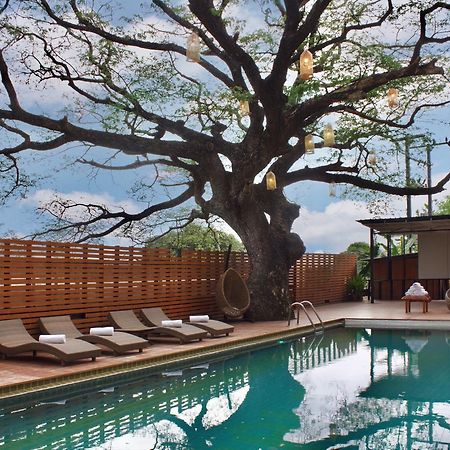 Bamboori Boutique Resort Чиангмай Экстерьер фото